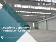 Magazzino in affitto a Noventa Di Piave