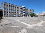Magazzino in affitto a Pomezia