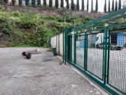 Magazzino in affitto a Salerno
