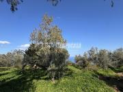 Magazzino in vendita a Messina