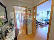 Magdaleno Vicuña, La florida