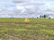 Magnífica Fazenda a 15 minutos do Centro de Araxá !