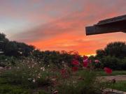 MAGNIFICA FINCA