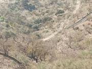 Magnifica FINCA de 79000m en Casabermeja a pie de carretera