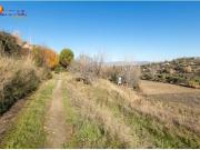 MAGNÍFICA FINCA JUNTO URBANIZACIÓN MOLINO ALTO