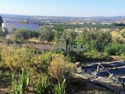 MAGNÍFICA FINCA RÚSTICA CON DOS VIVIENDAS Y OLIVARES EN...
