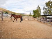 Magnífica finca rustica situada en Mijas