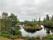 MAGNÍFICA FINCA UBICADA EN SAN SILVESTRE DE GUZMÁN CON...