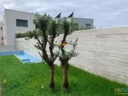 Magnifica Moradia na Boavista | 26014063013