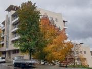 MAGNÍFICA OPORTUNIDADE DE NEGÓCIO!