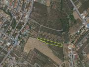 MAGNÍFICA PARCELA CERCANA A CTRA. DE URB. EL TORREÓN