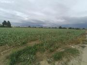 Magnifica parcela en la vega