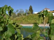 Magnifica parcela urbana con piscina y construcción en...