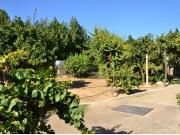 Magnifica parcela urbana con piscina y construcción en...