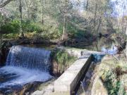 Magnífica Propriedade Orgânica com aproximadamente...