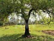 MAGNIFICA PROPRIEDADE PLANA COM 140.879m2