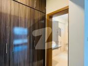 Magnificent 500 Square Yards House Available For Rent In...