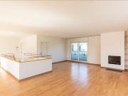 Magnificent duplex penthouse with view over the lake and...