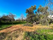 Magnifico lote urbano no coração de Albufeira