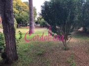 MAGNIFICO PISO EN ALCOLEA!