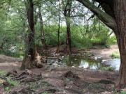 Magnífico terreno en Oaxtepec Centro