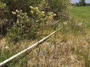 MAGNÍFICO TERRENO EN TEQUISQUIAPAN, QRO. SUP. 4 HECTÁREAS