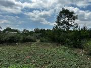 Magnífico Terreno industrial en Colonia Agropecuaria,...