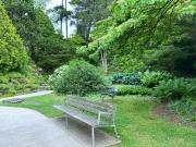 Magnifique appartement à Champel