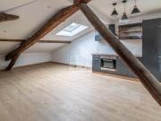 Magnifique appartement sous les combles, refait à neuf...