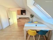 Magnifique appartement T2 entièrement rénové Revenus 9...