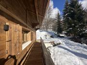 Magnifique chalet de luxe de 7p et 5 chambres / jardin...