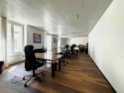 MAGNIFIQUE EN PLEIN COEUR DE GENÈVE