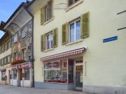 Magnifique et grand immeuble avec un local commercial