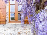 Magnifique Ferme rénovée à vendre 250m2 à Bonnée 45,...