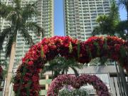 Magnolia Residences, brand new 38.5 sqm, 1 bedroom...