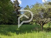 Magny les Hameaux 78114 Achat / Vente terrain