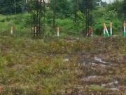 Mahalaxmi Nagar 42 1291 Sq. Ft. Plot in Jamtha Nagpur