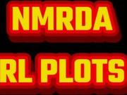 Mahalaxmi Nagar 45 1500 Sq. Ft. Plot in Mihan Nagpur...