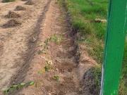 Mahalaxmi Nagar Plots 2127 Sq. Ft. Plot in Sawangi Nagpur