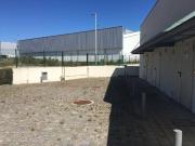 Maia Maia 93056838