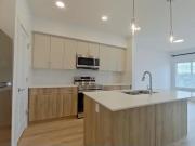 #Main 1039 Aster BV NW