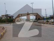 Main Blueward Plot For Sale Size 50*90