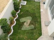 MAIN BRAND NEW 500SQU House Is Available For Sale In...