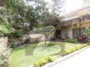 Main Double Road House Of 11 Marla Is Available For sale...