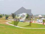 Main Double Road Pair Plot in University Town Block E