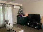 Main Floor 2 bed 2 bath condo