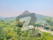 Main Road Plot For Sale