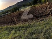 Main Simly Dam Road Property