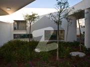 Main Tipu Sultan Road 600 Yards Bungalow For Commercial...