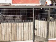 Maipú, Santa Carolina